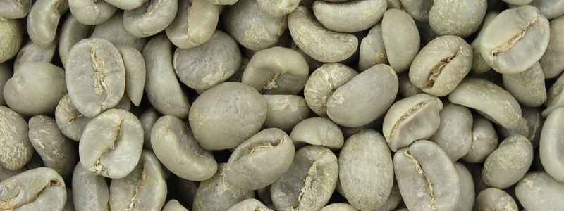 22 °C (72 °F) Green Beans